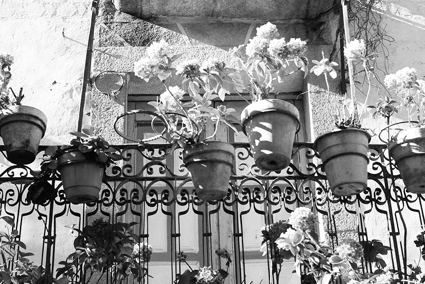 hoyos balcon hortensias pequeño
